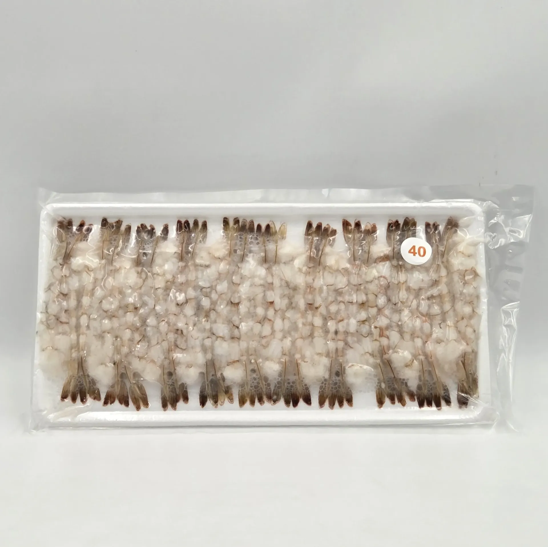 노바시 40미 300(g)pack*20